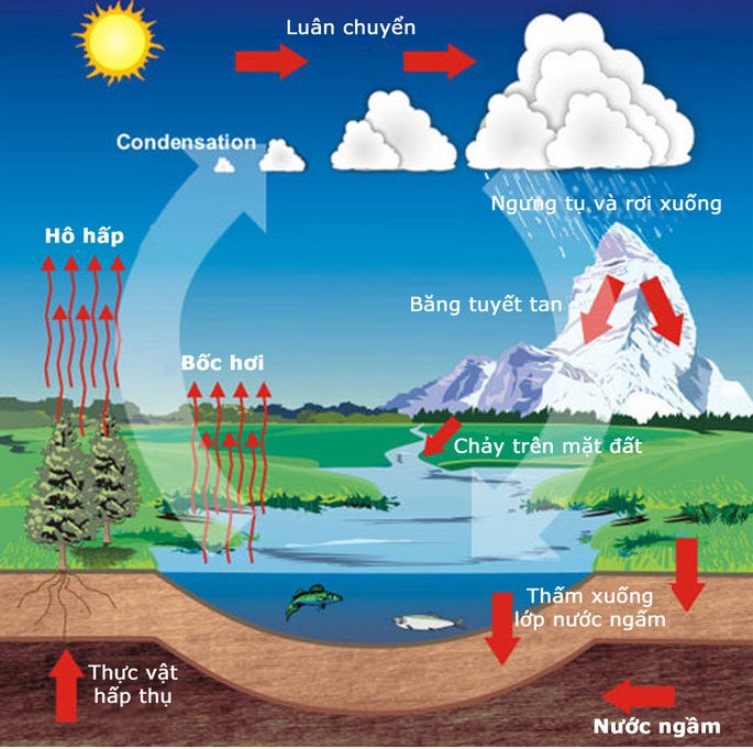 Xử lý nước sạch - Các công nghệ xử lý nước ngầm .